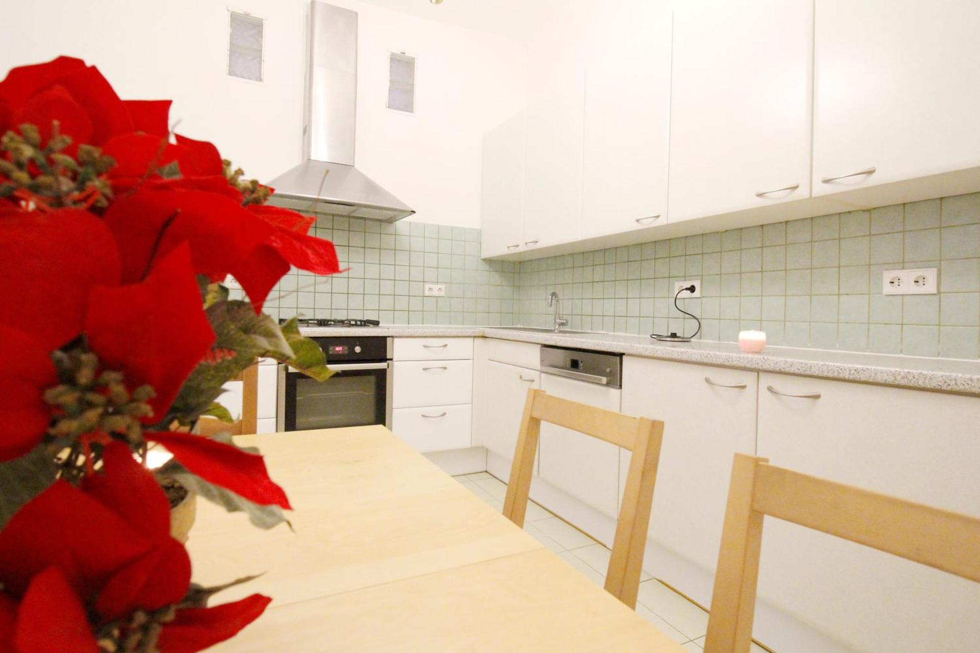 Comfortable Rooms Near Schonbrunn Palace فيينا المظهر الخارجي الصورة