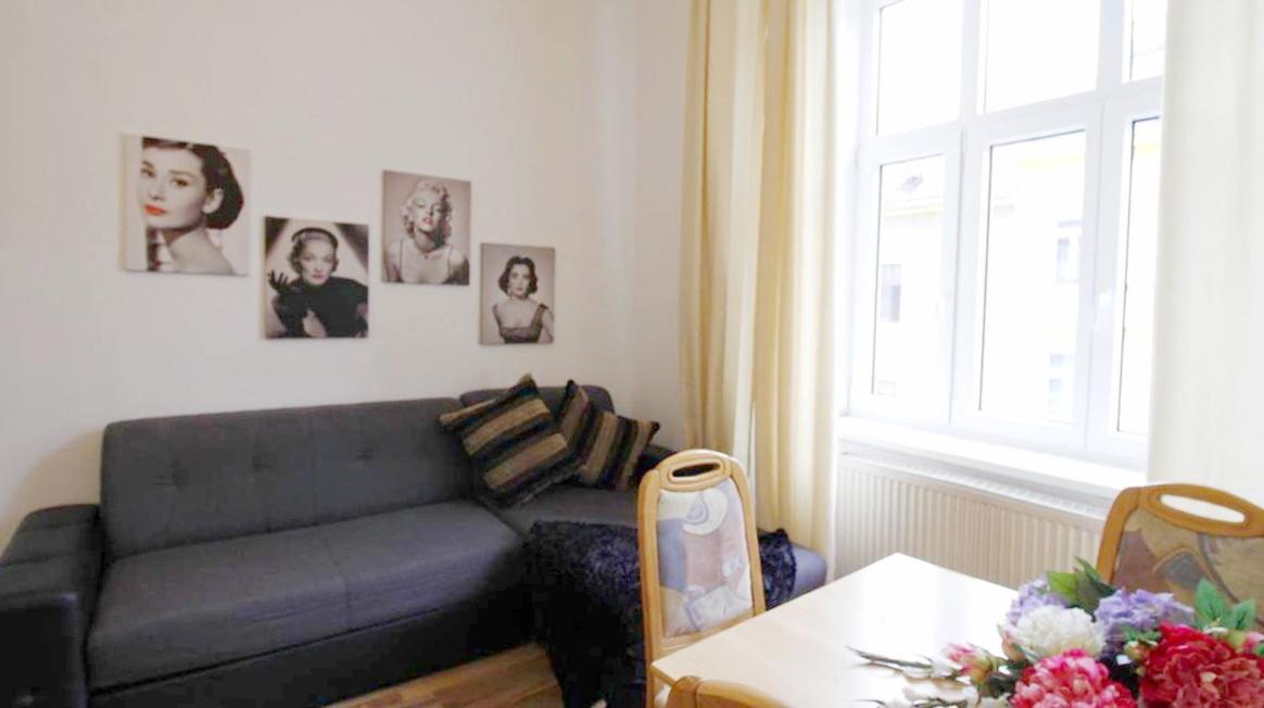 Comfortable Rooms Near Schonbrunn Palace فيينا المظهر الخارجي الصورة